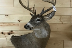 deer20